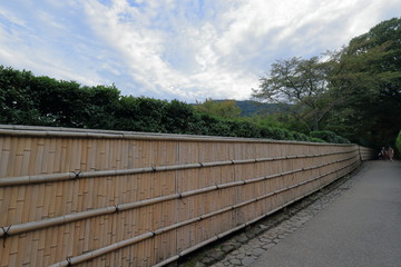 Fototapeta na wymiar 竹垣の小道