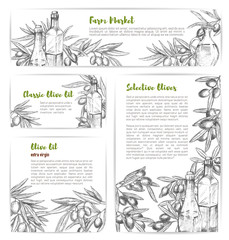 Olive oil market vector sketch banners or posters