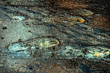 water, ground, gravel