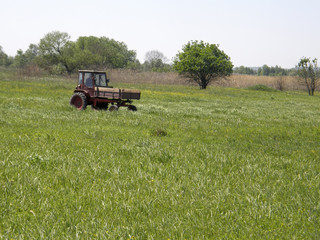 Tractor on a spring meadow.