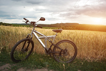 Fototapeta premium Sports bike on the evening wheat field.