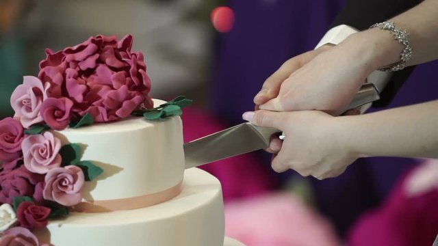 Bride and groom cutting piece of wedding cake