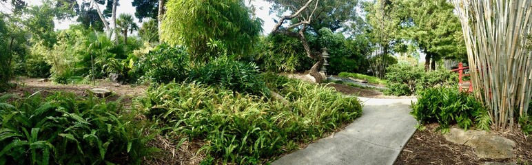 Panoramic view of a pebble path in Florida (United States of America) with a beautiful Japanese garden including giant bamboo and lush asian greenery