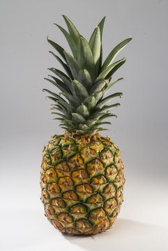 Baby pineapple whole on white background
