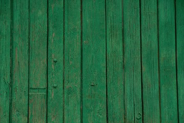зелёная текстура из сухих деревянных досок забора 
