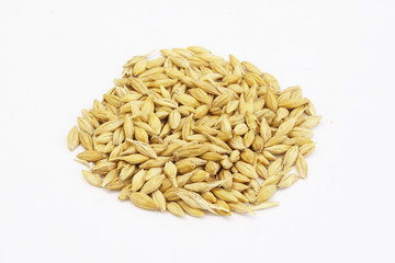a handful of Barley