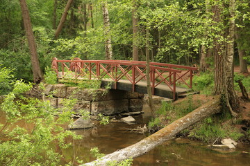 Fototapeta na wymiar Bridge in the forest