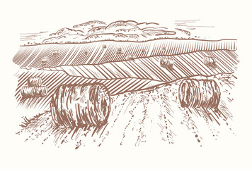 Rural landscape hand drawn. Rolls of hay on meadows. Village sketch and nature retro engraving style vector