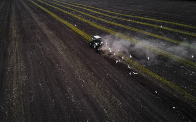 Fototapeta premium The white tractor plows the field against the backdrop of the black earth, and behind it birds fly and collect food. Aeril view. Agricultural machinery works in the field of spring planting. Plowing