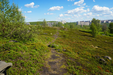 Fototapeta na wymiar Trails in the tundra near the town, summer in the tundra