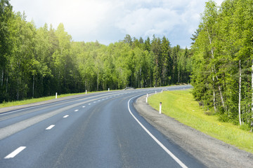 Asphalt road through the green forest, summer landscape