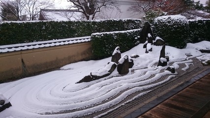 雪景色の庭