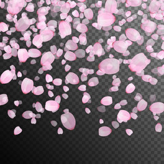 Peach blossom vector falling on a transparent background. Celebratory background with pink flower petals.
