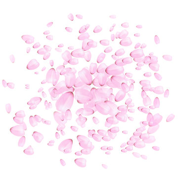 Romantic pink background with petals of cherry blossoms on white backdrop, vector illustration
