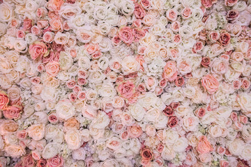 Background of pink orange and peach roses.Beautiful flowers background for wedding scene