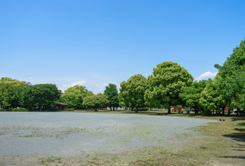 富士米の宮公園