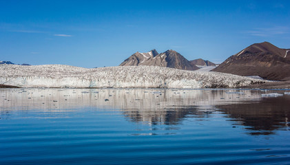 Small icebergs in front of a glacier