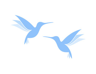 Obraz premium Flying hummingbirds. Exotic birds on white background