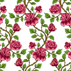 Seamless floral pattern. wallpaper with  pink roses. Vector colorful background. 