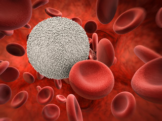  white blood cells with red blood cells