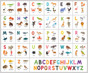 Fototapeta Cute vector zoo alphabet. Abc animals obraz