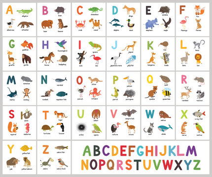 Cute vector zoo alphabet. Abc animals