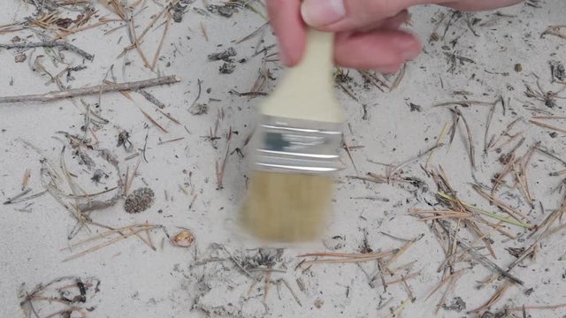Archaeology: picking up and cleaning the finds on the surface of the soil