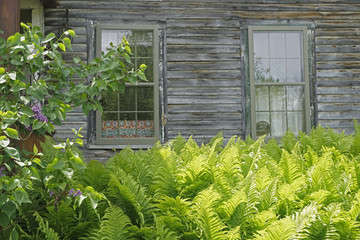 old New England farmhouse