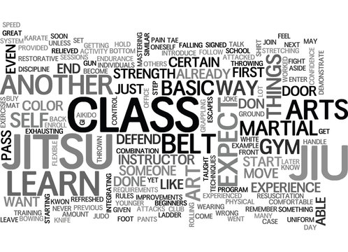WHAT TO EXPECT IN JIU JITSU TEXT WORD CLOUD CONCEPT