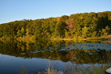Fototapeta premium evening at the Lotus pond
