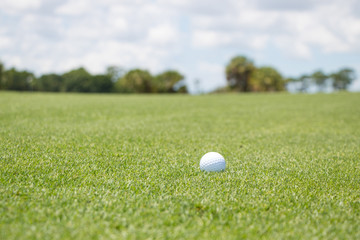 Golf Ball on Fairway
