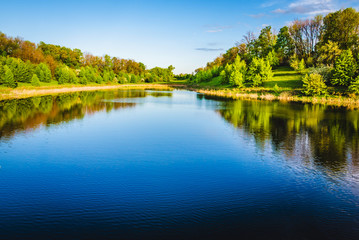 Fototapeta na wymiar Summer lake near the forest.