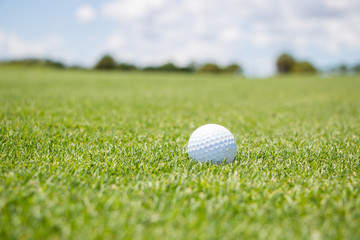 Golf Ball on Fairway
