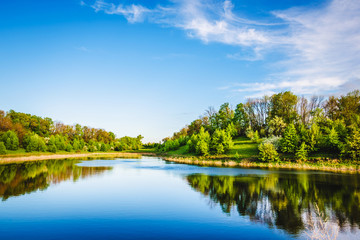 Summer lake near the forest.