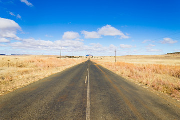 Fototapeta na wymiar Perspective road from Orange Free State, South Africa