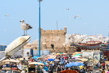 colorful port of essaouira maritime town, morocco