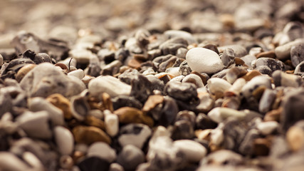 Pebble World