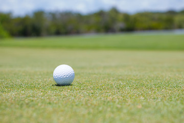 Golf Ball on Green
