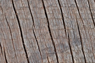 background of old wood texture, nature abstract background texture