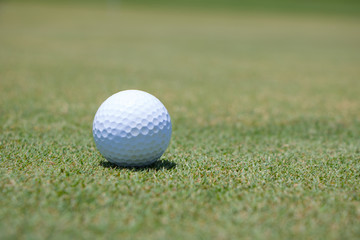 Golf Ball on Green
