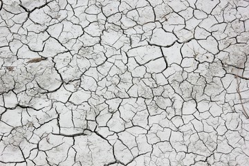 Dried up and hostile to the earth as a consequence of climate warming