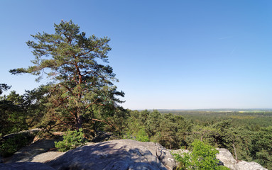 Gorges de Franchard en forêt de fontainebleau