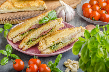 Pesto cheese sandwich