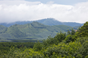Landscape of Thailand in the rainy season