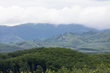 Landscape in the south of Thailand in the rainy season