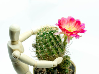 The puppets are taking care of the red flowers. White background (isolate)