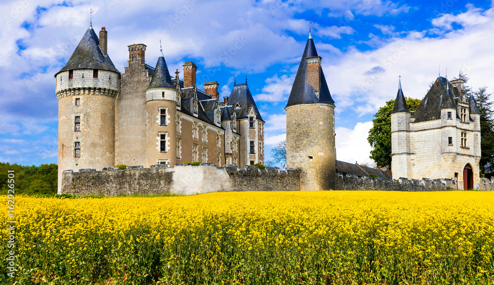 Canvas Prints great castles of loire valley - montpoupon. france