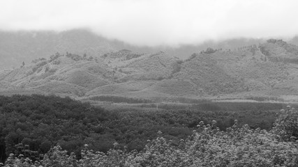 A view of nature from a viewing platform in the south of Thailand - black and white