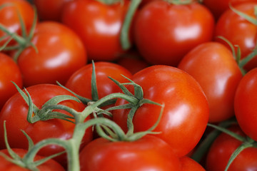 Ripe red tomatoes