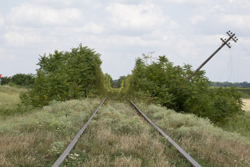 Verrottete Bahnstrecke mit Naturschneise und krummen Strommast